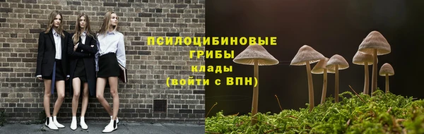 скорость Бородино