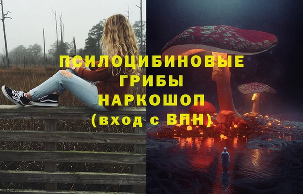 PSILOCYBIN Нягань