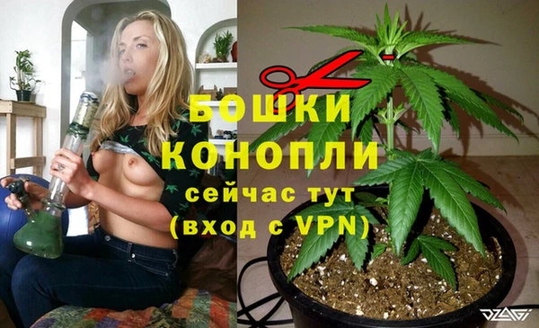 2c-b Бронницы