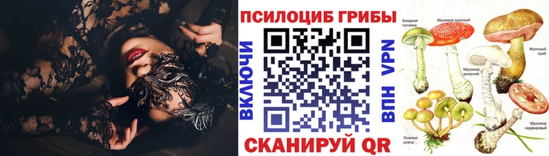 Галлюциногенные грибы Psilocybe  где можно купить   Сорочинск 